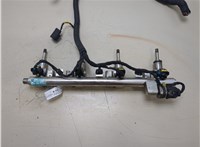 353102GGA1, 353042GGA0 Форсунка топливная Hyundai Santa Fe 2015-2018 20334126 #1