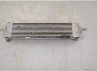 14461JG70C, 3578003 Радиатор интеркулера Nissan X-Trail (T31) 2007-2015 20334203 #2