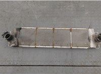  Радиатор интеркулера Volkswagen Transporter 5 2003-2009 20334219 #1