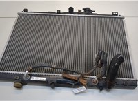  Радиатор охлаждения двигателя Honda Shuttle 20334295 #1