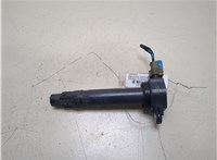  Катушка зажигания Dodge Journey 2011- 20334315 #1