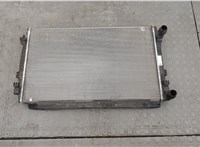  Радиатор охлаждения двигателя Skoda Octavia (A7) 2013-2017 20334368 #1