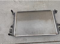  Радиатор охлаждения двигателя Skoda Octavia (A7) 2013-2017 20334376 #1