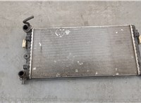  Радиатор охлаждения двигателя Skoda Rapid 20334413 #1
