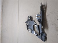 41617286344, 7286344 Петля капота BMW 3 F30 2012-2019 20334421 #4