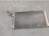  Радиатор кондиционера Skoda Rapid 20334432 #1