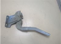  Петля капота Nissan Note E12 2012- 20334800 #1