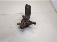  Ступица (кулак, цапфа) Renault Megane 2 2002-2009 20335175 #2