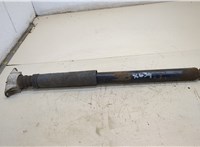  Амортизатор подвески Ford Focus 2 2008-2011 20335406 #1