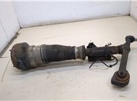 Амортизатор подвески Mercedes S W221 2005-2013 20335519 #1