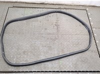  Уплотнитель Renault Megane 4 2016-2020 20335569 #1