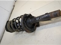  Амортизатор подвески Renault Megane 2 2002-2009 20335621 #2