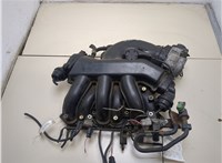  Коллектор впускной Nissan Murano 2010-2015 20335870 #1