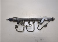 03L130089B Рампа (рейка) топливная Volkswagen Golf 6 2009-2012 20336068 #1