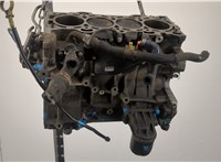 1360177, 1364485, 3S7G6011BB, RM3S7G6011BB Блок цилиндров (Шорт блок) Ford Focus 2 2005-2008 20336119 #3