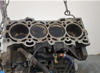 1360177, 1364485, 3S7G6011BB, RM3S7G6011BB Блок цилиндров (Шорт блок) Ford Focus 2 2005-2008 20336119 #7