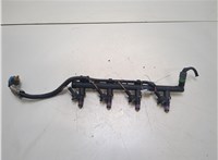  Форсунка топливная Renault Megane 2 2002-2009 20336176 #1