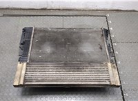  Радиатор охлаждения двигателя Mercedes Vito W639 2004-2013 20337840 #5