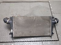  Радиатор интеркулера Opel Insignia 2008-2013 20338097 #1
