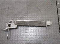  Радиатор масляный Mercedes CLS C218 2011-2017 20338181 #6