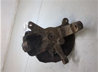 504054505 Ступица (кулак, цапфа) Iveco Daily 3 2000-2005 20338338 #1