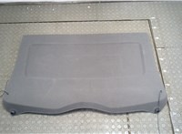  Полка багажника Ford Focus 2 2008-2011 20338395 #2