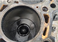 Q0000000001 Блок цилиндров (Шорт блок) Mercedes Sprinter 2006-2018 20338477 #8