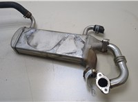  Охладитель отработанных газов Volkswagen Crafter 2006-2016 20339027 #1