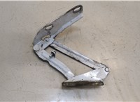  Петля капота Volkswagen Crafter 2006-2016 20339318 #3