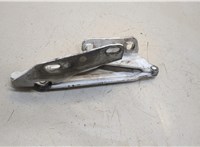  Петля капота Volkswagen Crafter 2006-2016 20339321 #3