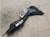 1908911, DS73F16800BD Петля капота Ford Mondeo 5 2015- 20339373 #4