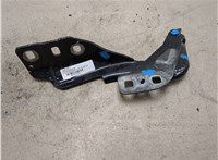 1908912, DS73F16801BD Петля капота Ford Mondeo 5 2015- 20339381 #6