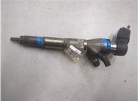166008052R, 8200704191 Форсунка топливная Renault Scenic 2009-2012 20340676 #1