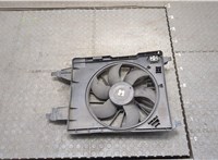  Вентилятор радиатора Renault Megane 2 2002-2009 20340991 #1