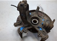 6Q0407621AD, 6Q0407256AC Ступица (кулак, цапфа) Volkswagen Polo 2001-2005 20341121 #5