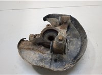  Ступица (кулак, цапфа) Audi A6 (C5) Allroad 2000-2005 20341410 #1