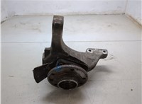 1603243, 93186387, 93175327 Ступица (кулак, цапфа) Opel Vectra C 2002-2008 20341429 #5