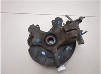 6C0407621, 6Q0407256AC, 6R0615312 Ступица (кулак, цапфа) Volkswagen Polo 2001-2005 20341680 #3