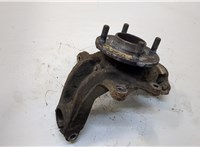  Ступица (кулак, цапфа) Ford Fiesta 2001-2007 20341705 #1