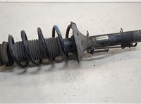  Амортизатор подвески Volkswagen Golf 4 1997-2005 20341782 #1