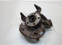 Ступица (кулак, цапфа) Volkswagen Golf 4 1997-2005 20341784 #1