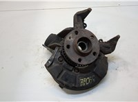  Ступица (кулак, цапфа) Volkswagen Golf 4 1997-2005 20341786 #1