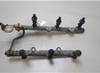 Форсунка топливная Lexus RX 1998-2003 20341896 #1