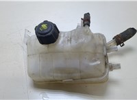 Бачок расширительный Renault Megane 3 2009-2016 20342354 #1