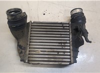  Радиатор интеркулера Volkswagen Golf 4 1997-2005 20342731 #1