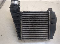  Радиатор интеркулера Volkswagen Golf 4 1997-2005 20342731 #5