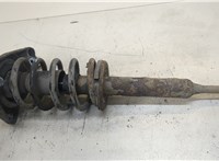  Амортизатор подвески Volkswagen Passat 5 2000-2005 20342936 #5