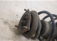  Амортизатор подвески Nissan Almera N16 2000-2006 20342951 #2