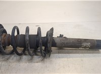  Амортизатор подвески BMW X3 F25 2010-2014 20343116 #1