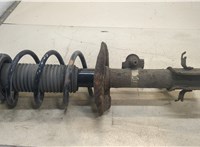  Амортизатор подвески Citroen C3 2002-2009 20343293 #1